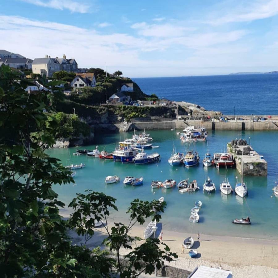 Tregella Guest House New Quay Exteriör bild